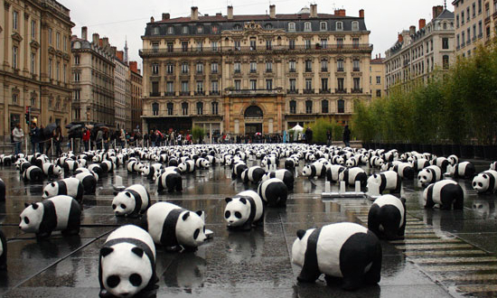 pandas_wwf pandas_wwf